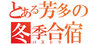 とある芳多の冬季合宿（パズドラ）