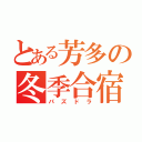 とある芳多の冬季合宿（パズドラ）