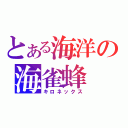 とある海洋の海雀蜂（キロネックス）