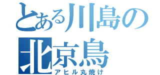 とある川島の北京鳥（アヒル丸焼け）