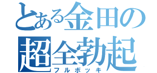 とある金田の超全勃起（フルボッキ）