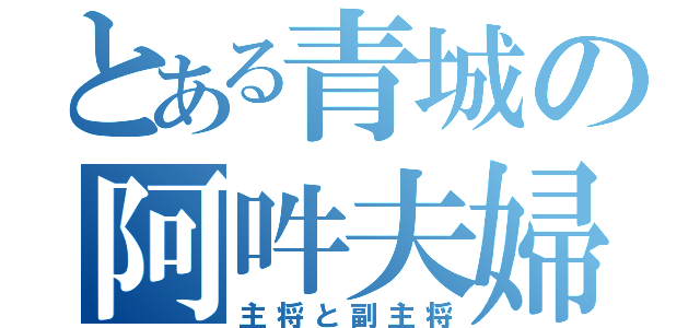 とある青城の阿吽夫婦（主将と副主将）