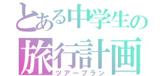 とある中学生の旅行計画（ツアープラン）