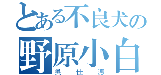 とある不良犬の野原小白（吳佳潓）