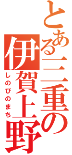 とある三重の伊賀上野（しのびのまち）