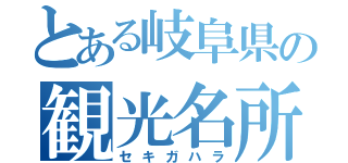 とある岐阜県の観光名所（セキガハラ）