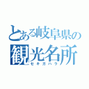 とある岐阜県の観光名所（セキガハラ）