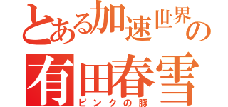 とある加速世界の有田春雪（ピンクの豚）