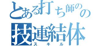 とある打ち師のの技連結体（スキル）