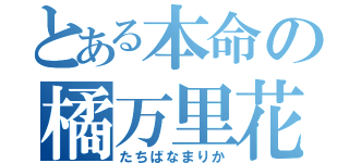 とある本命の橘万里花（たちばなまりか）