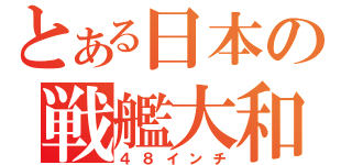 とある日本の戦艦大和（４８インチ）