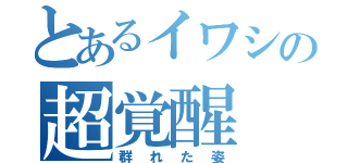 とあるイワシの超覚醒（群れた姿）