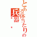 とある体当たりの兵器（桜花）