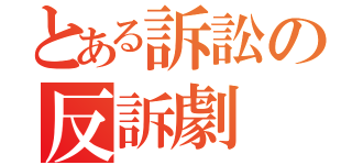 とある訴訟の反訴劇（）