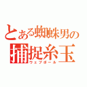 とある蜘蛛男の捕捉糸玉（ウェブボール）