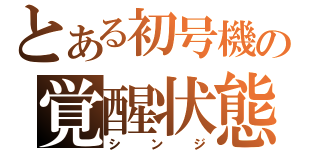 とある初号機の覚醒状態（シンジ）