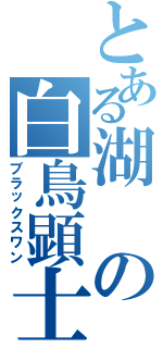 とある湖の白鳥顕士（ブラックスワン）