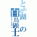 とある湖の白鳥顕士（ブラックスワン）