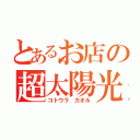 とあるお店の超太陽光（コトウラ カオル）