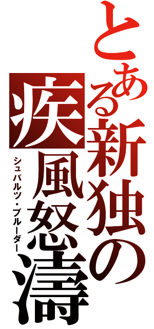 とある新独の疾風怒濤（シュバルツ・ブルーダー）