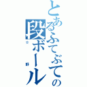 とあるふてぶて王の段ボール（☆野）