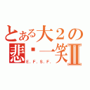 とある大２の悲剧一笑Ⅱ（Ｅ．Ｆ．Ｓ．Ｆ．）