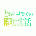 とあるコモモの逃亡生活（エスケープライフ）