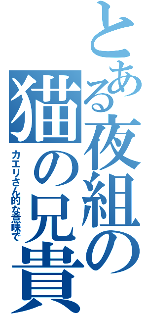 とある夜組の猫の兄貴（カエリさん的な意味で）