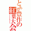 とある豊作の紅葉大会（メイプルライフ）