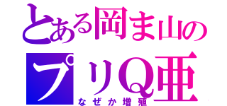 とある岡ま山のプリＱ亜（なぜか増殖）