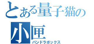 とある量子猫の小匣（パンドラボックス）