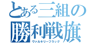 とある三組の勝利戦旗（ヴァルキリーフラッグ）