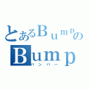 とあるＢｕｍｐ好きのＢｕｍｐ研究（バンパー）