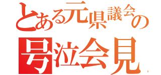 とある元県議会委員の号泣会見（）