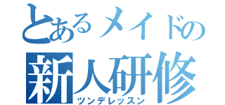 とあるメイドの新人研修（ツンデレッスン）