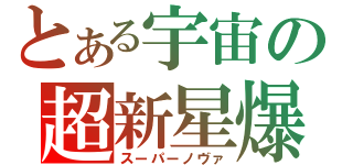 とある宇宙の超新星爆発（スーパーノヴァ）