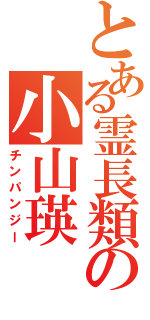 とある霊長類の小山瑛Ⅱ（チンパンジー）