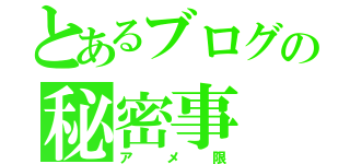 とあるブログの秘密事（アメ限）