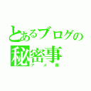 とあるブログの秘密事（アメ限）