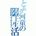 とある河童の陸上生活（頭の皿は大切に）