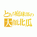 とある庭球部の大顔北瓜（）