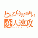 とある烏野高校の変人速攻（ハイキュー）