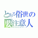 とある俗世の要注意人物（ストレンジャー）