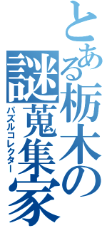 とある栃木の謎蒐集家（パズルコレクター）