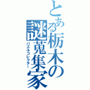 とある栃木の謎蒐集家（パズルコレクター）