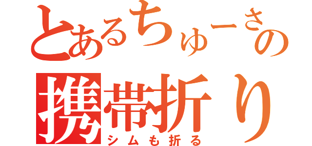 とあるちゅーさんの携帯折り（シムも折る）