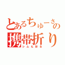 とあるちゅーさんの携帯折り（シムも折る）