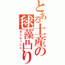 とある土産の毬藻凸り（まりもっこり）