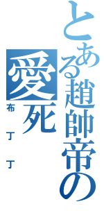 とある趙帥帝の愛死（布丁丁）