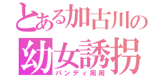 とある加古川の幼女誘拐犯（パンディ周周）